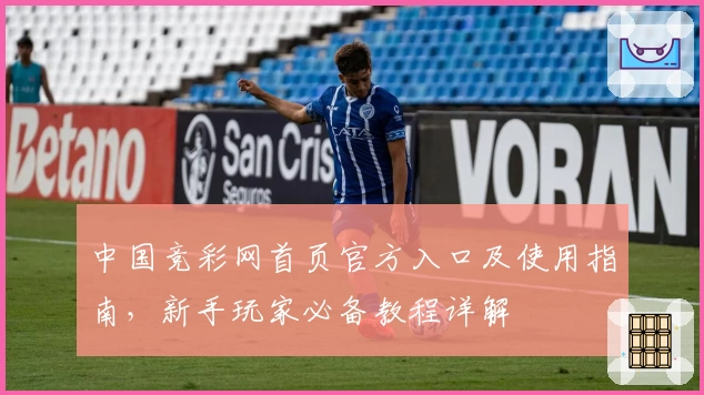 中国竞彩网首页官方入口及使用指南，新手玩家必备教程详解