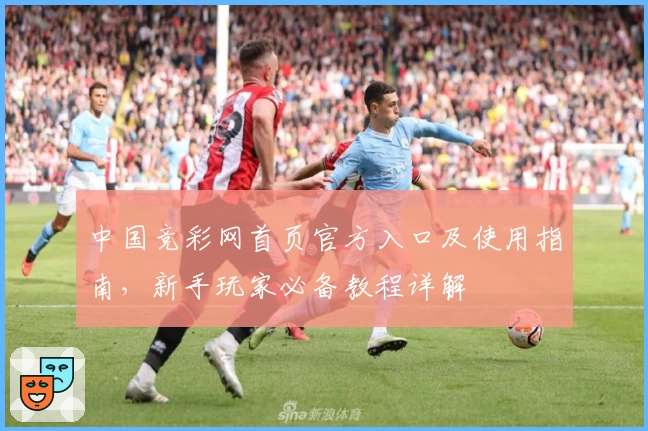 中国竞彩网首页官方入口及使用指南，新手玩家必备教程详解