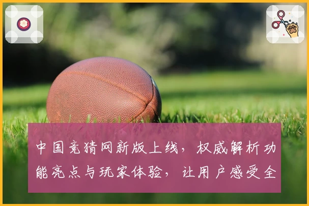 中国竞猜网新版上线,权威解析功能亮点与玩家体验,让用户感受全新互动魅力