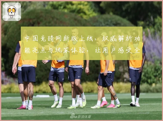 中国竞猜网新版上线，权威解析功能亮点与玩家体验，让用户感受全新互动魅力